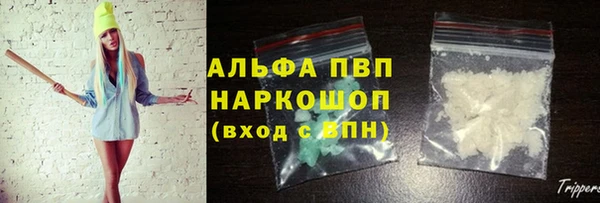 стафф Богородицк