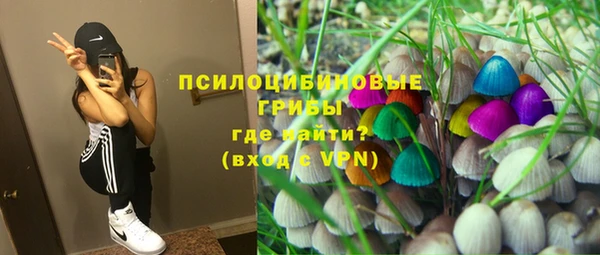 jwh Богородск