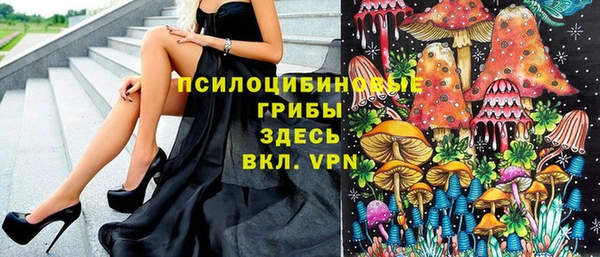 стафф Богородицк